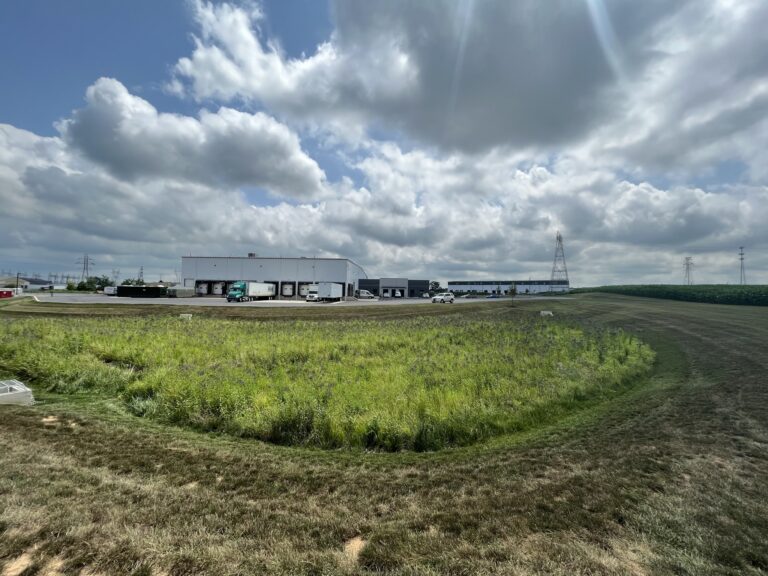 Martin Warehouse -Brownstown 2024 infiltration basin Martin Warehouse -Brownstown 2024 infiltration basin