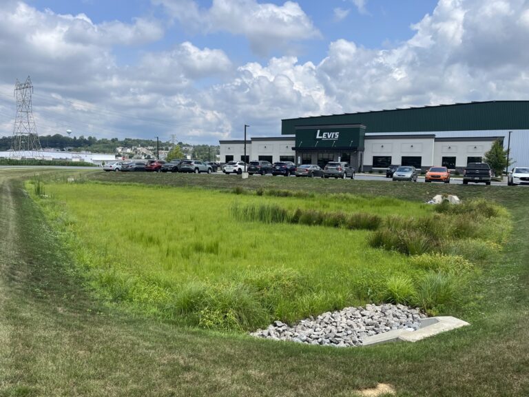 Levi Building Group Brownstown 2024 Bioretention Basin Levi Building Group Brownstown 2024 Bioretention Basin