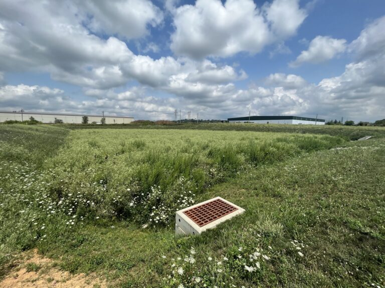 Bobby Rahal Lexus Brownstown 2024 Infiltration Basin Bobby Rahal Lexus Brownstown 2024 Infiltration Basin