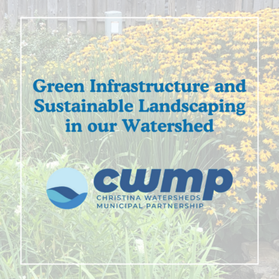 Green Infrastructure and Sustainable Landscaping in our Watershed