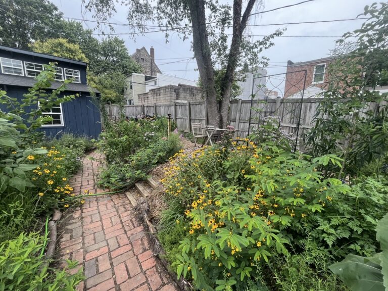 6725AC42 82FB 4B82 BC7B F92B154D774F 1 105 c 1 768x576