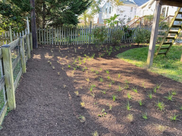 Ann Geddes BS 768x576