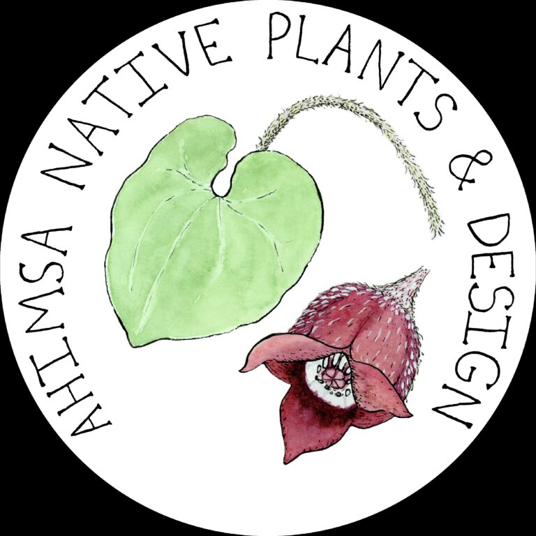 OFFICIAL LOGO draft logo 2 768x768