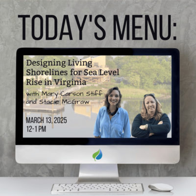 Today’s Menu: Designing Living Shorelines for Sea Level Rise in Virginia