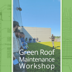 Green Roof Maintenance Workshop