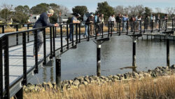 A group of participants gathers along a bridge over some water and wetlands. They observe and discuss features of the living shoreline, which includes native plants and erosion control elements. A calm body of water and some houses are visible in the background.