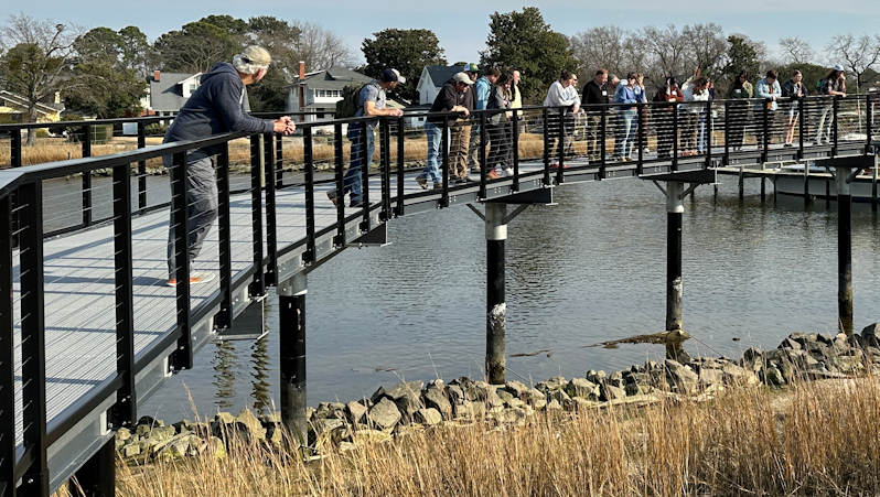 Shoreline in L1 class A group of participants gathers along a bridge over some water and wetlands. They observe and discuss features of the living shoreline, which includes native plants and erosion control elements. A calm body of water and some houses are visible in the background.