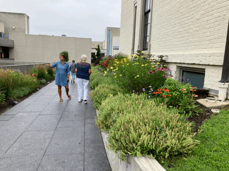 Screenshot 2025 08 05 153638 768x574