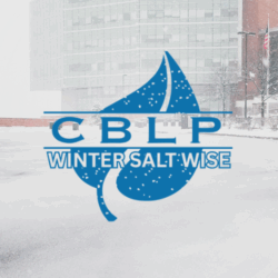 Winter Salt Wise
