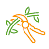 Invasive Plant Management icon