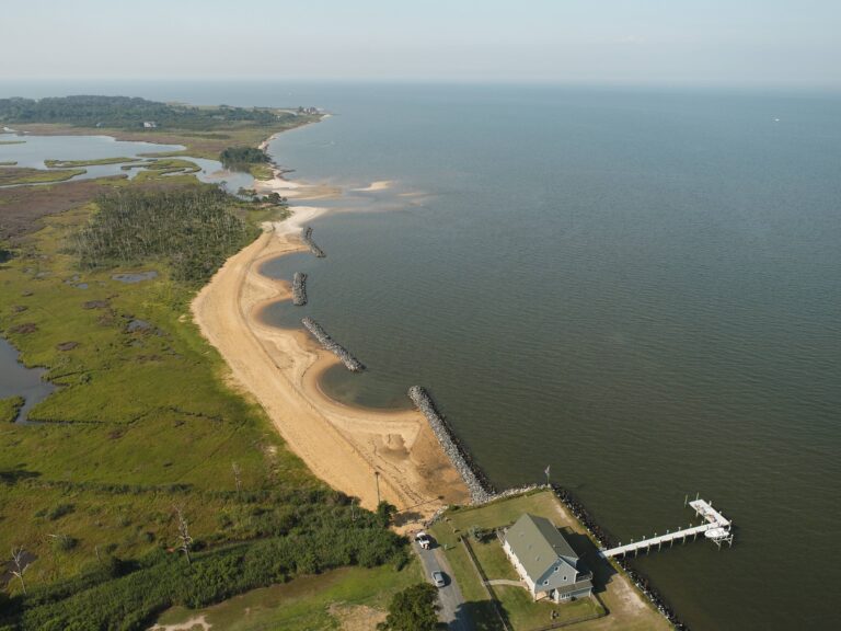 DJI 0005 Resized 768x576